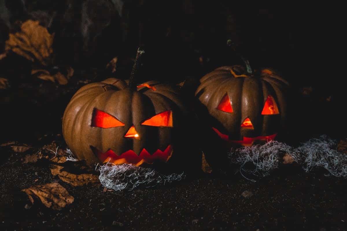 Dos calabazas talladas iluminadas para decoración de evento de Halloween